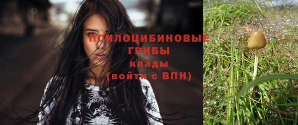 Альфа ПВП Верхний Тагил