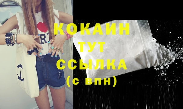 соль ск Верея