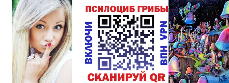Галлюциногенные грибы мицелий  Городовиковск 