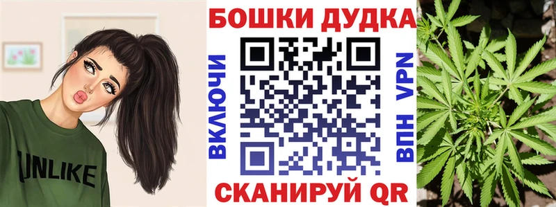 где продают наркотики  Городовиковск  blacksprut онион  сайты даркнета состав  Канабис семена 